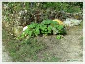 Click na foto para ampliar!