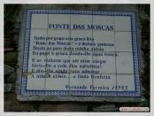 Click na foto para ampliar!