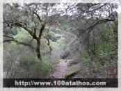 Click na foto para ampliar!