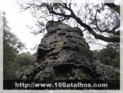 Click na foto para ampliar!