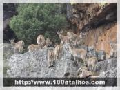 Click na foto para ampliar!