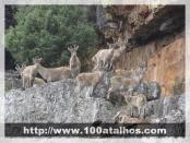 Click na foto para ampliar!