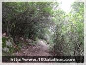 Click na foto para ampliar!