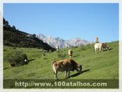 Click na foto para ampliar!