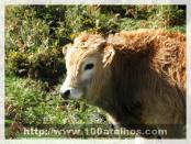 Click na foto para ampliar!