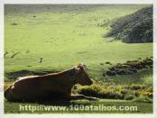 Click na foto para ampliar!