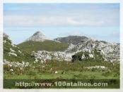 Click na foto para ampliar!