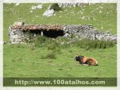 Click na foto para ampliar!