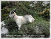 Click na foto para ampliar!