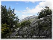 Click na foto para ampliar!