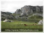 Click na foto para ampliar!