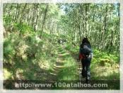 Click na foto para ampliar!