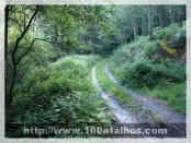 Click na foto para ampliar!