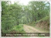 Click na foto para ampliar!