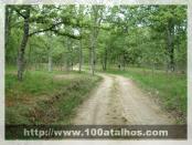 Click na foto para ampliar!