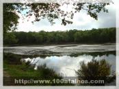 Click na foto para ampliar!