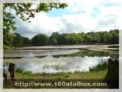 Click na foto para ampliar!