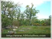 Click na foto para ampliar!