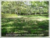 Click na foto para ampliar!