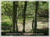 Click na foto para ampliar!