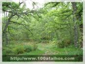 Click na foto para ampliar!