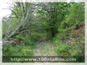 Click na foto para ampliar!