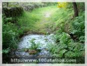 Click na foto para ampliar!