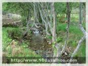 Click na foto para ampliar!