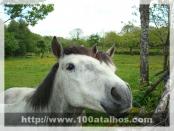 Click na foto para ampliar!