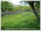 Click na foto para ampliar!