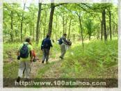 Click na foto para ampliar!