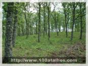 Click na foto para ampliar!