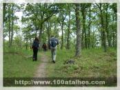 Click na foto para ampliar!