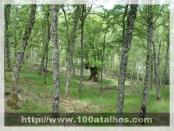 Click na foto para ampliar!