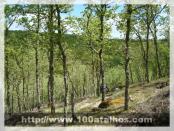 Click na foto para ampliar!