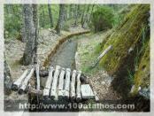 Click na foto para ampliar!