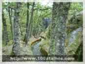 Click na foto para ampliar!