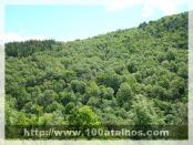 Click na foto para ampliar!