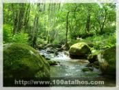 Click na foto para ampliar!