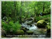 Click na foto para ampliar!