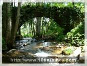 Click na foto para ampliar!