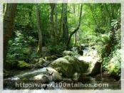 Click na foto para ampliar!