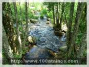 Click na foto para ampliar!