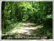 Click na foto para ampliar!