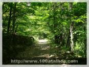 Click na foto para ampliar!