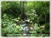 Click na foto para ampliar!