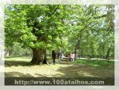 Click na foto para ampliar!