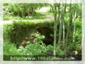 Click na foto para ampliar!