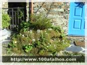 Click na foto para ampliar!