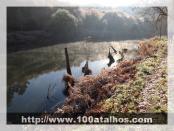 Click na foto para ampliar!